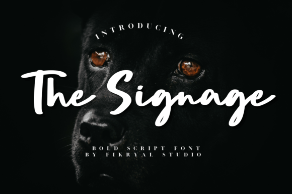 Discover The Signage: A Bold Script Font for Editorial Design