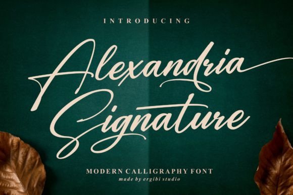 How a Designer Uses Alexandria Signature for Real Branding Projects